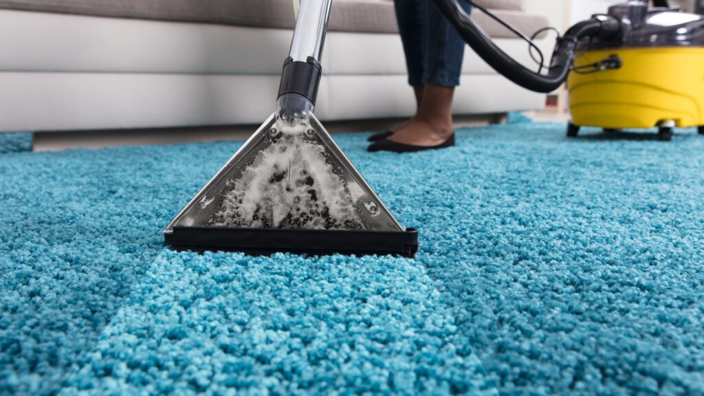 Bedste Tæpperensere